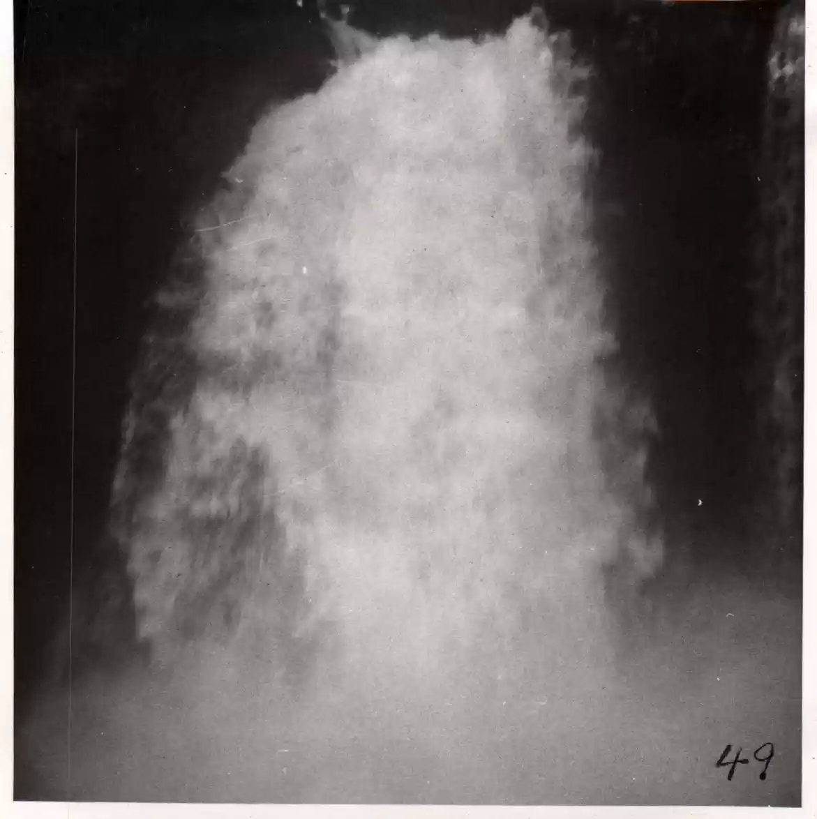 49 - Feast at Belknap Springs, OR